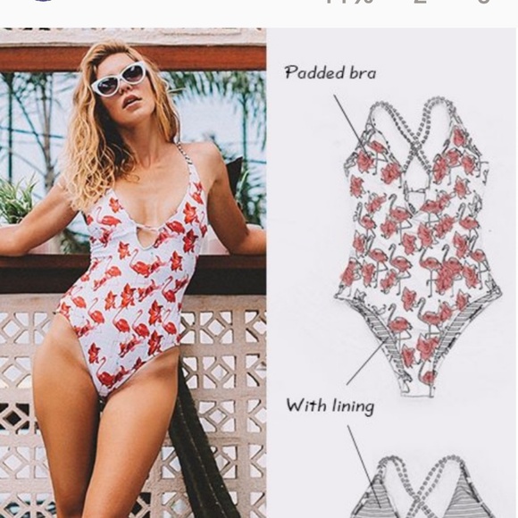 cupshe flamingo bikini
